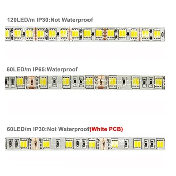 DC12/24 v 5050 RGB RGBW RGBWW CCT Trake Led Svjetla 4Pin 60/120 led/M temperatura Podesiva Bijela Tiskana pločica Vodootporne IP30/65 5 m