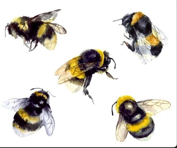 Male životinje Pčele Prozirni Silikon Pečat i Pečat za Probijanje, Scrapbooking, Uradi sam, Slatka galerija fotografija s Uzorkom